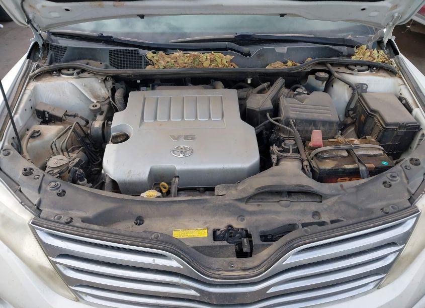 Photo 10 of 2009 Toyota Venza BASE V6 (VIN 4T3BK11A79U013255)