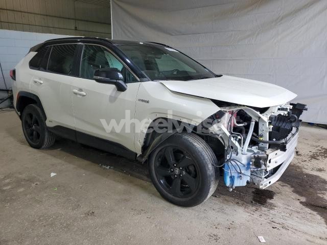 2021 TOYOTA RAV4 XSE (VIN 4T3E6RFV0MU021427) main photo