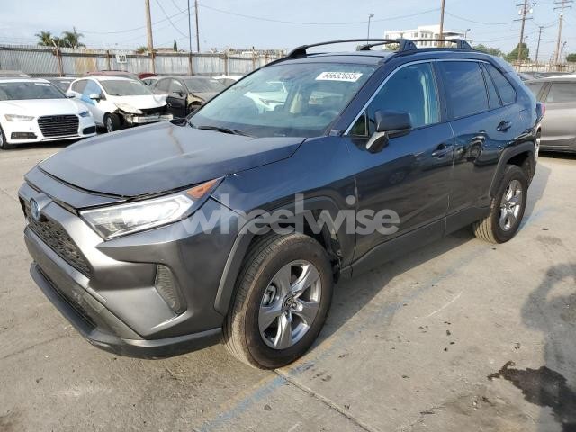 Photo 8 of 2025 TOYOTA RAV4 LE (VIN 4T3LWRFV1SU169428)