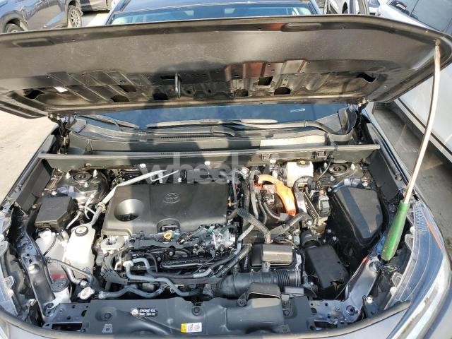 Photo 9 of 2025 TOYOTA RAV4 LE (VIN 4T3LWRFV1SU169428)