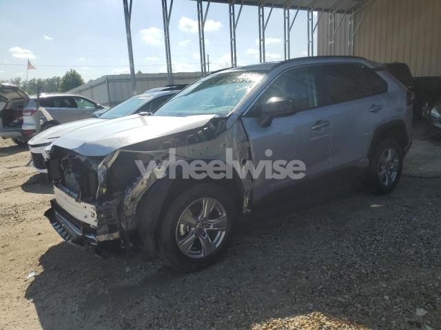 Photo 13 of 2025 TOYOTA RAV4 LE (VIN 4T3LWRFV1SU183216)