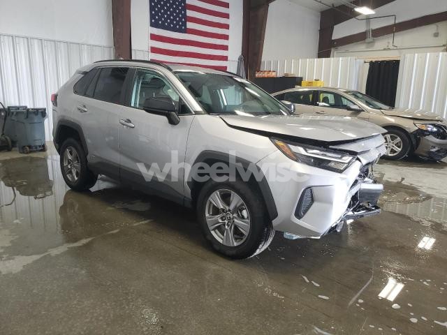 2025 TOYOTA RAV4 LE (VIN 4T3LWRFV4SU166054) main photo