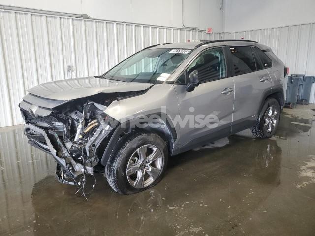 Photo 12 of 2025 TOYOTA RAV4 LE (VIN 4T3LWRFV4SU166054)