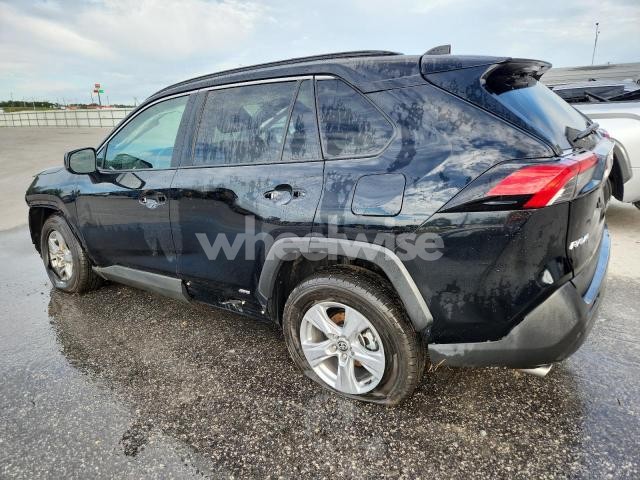 Photo 14 of 2025 TOYOTA RAV4 LE (VIN 4T3LWRFV6SU182658)