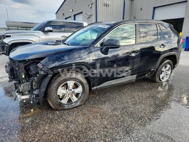 Photo 8 of 2025 TOYOTA RAV4 LE (VIN 4T3LWRFV6SU182658)