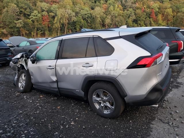 Photo 11 of 2025 TOYOTA RAV4 XLE (VIN 4T3RWRFV2SU187236)