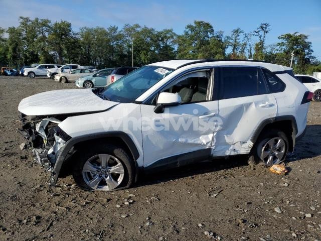 2025 TOYOTA RAV4 XLE (VIN 4T3RWRFV4SU164413) main photo