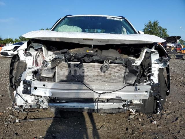 Photo 12 of 2025 TOYOTA RAV4 XLE (VIN 4T3RWRFV4SU164413)