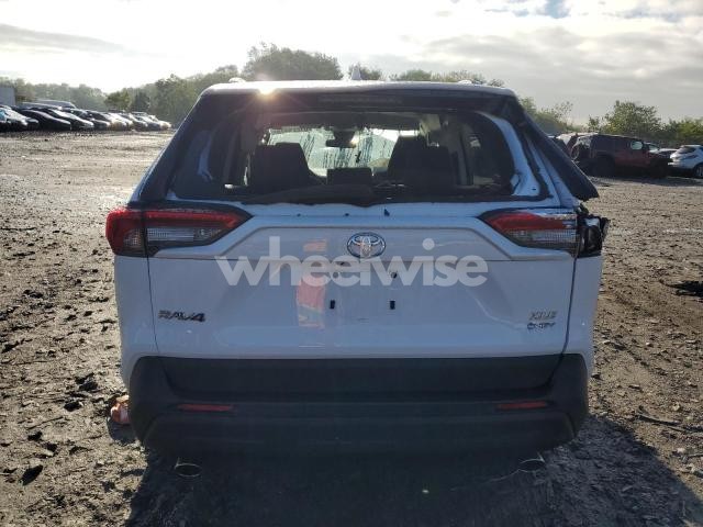 Photo 6 of 2025 TOYOTA RAV4 XLE (VIN 4T3RWRFV4SU164413)