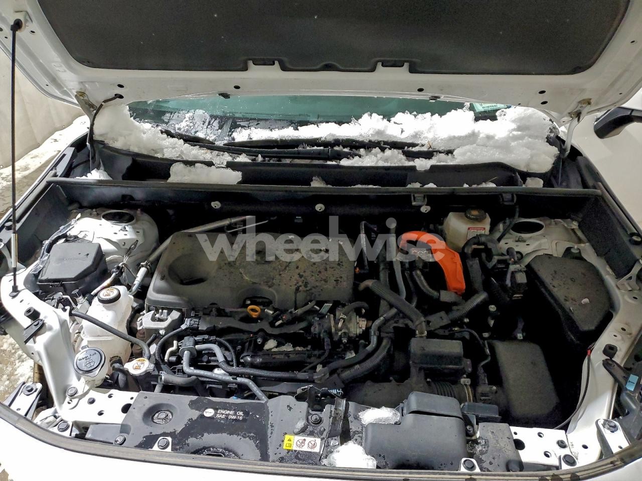 Photo 12 of 2025 TOYOTA RAV4 XLE (VIN 4T3RWRFV5SU167448)