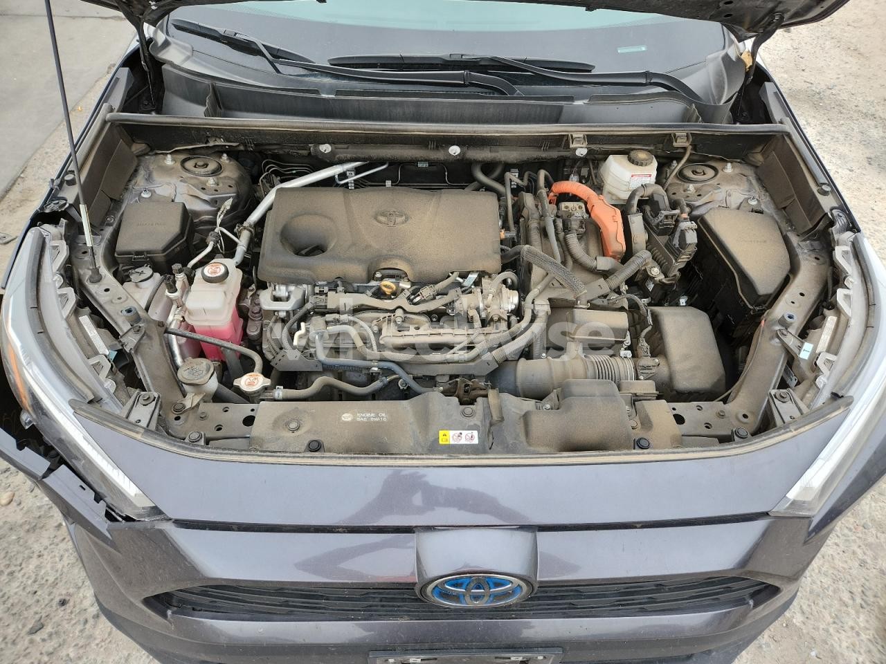 Photo 12 of 2024 TOYOTA RAV4 XLE (VIN 4T3RWRFV6RU129477)