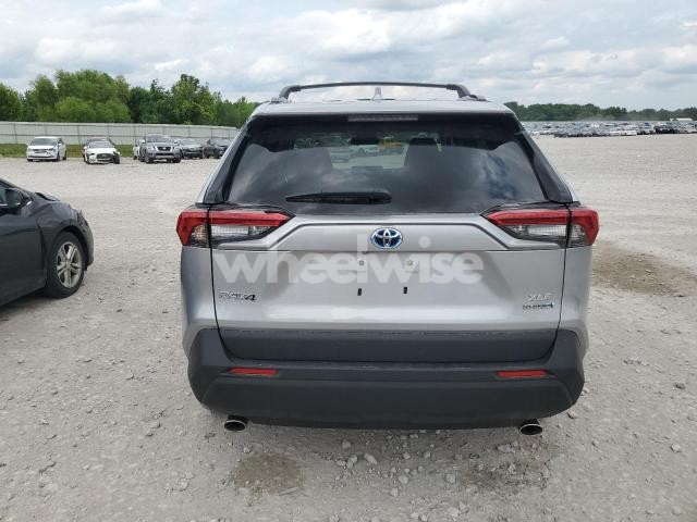 2024 TOYOTA RAV4 XLE (VIN 4T3RWRFV7RU147325) main photo