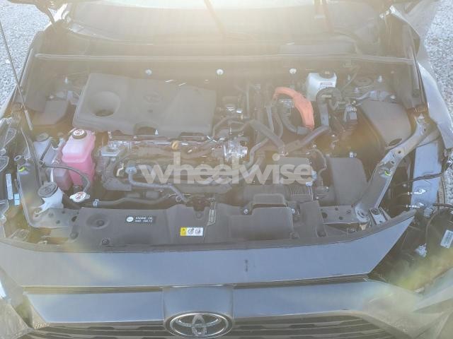 2025 TOYOTA RAV4 XLE (VIN 4T3RWRFV7SU185935) main photo