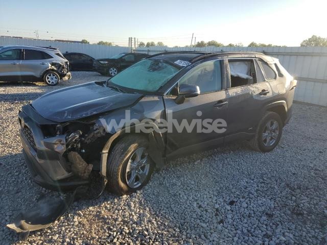 Photo 3 of 2025 TOYOTA RAV4 XLE (VIN 4T3RWRFV7SU185935)