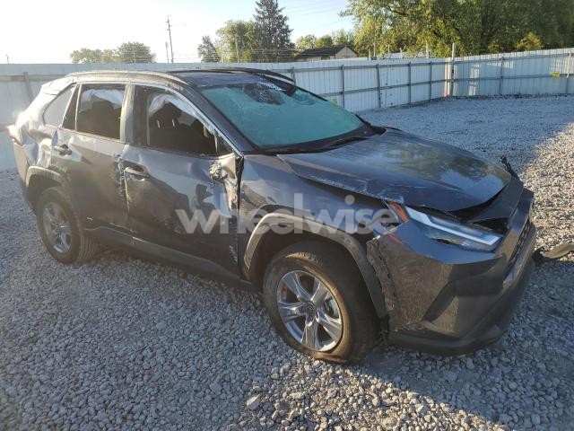 Photo 7 of 2025 TOYOTA RAV4 XLE (VIN 4T3RWRFV7SU185935)