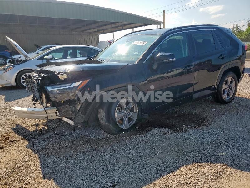 Photo 8 of 2024 TOYOTA RAV4 XLE (VIN 4T3RWRFV8RU125754)