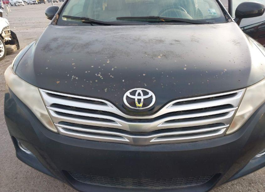 Photo 6 of 2009 Toyota Venza (VIN 4T3ZK11AX9U009800)