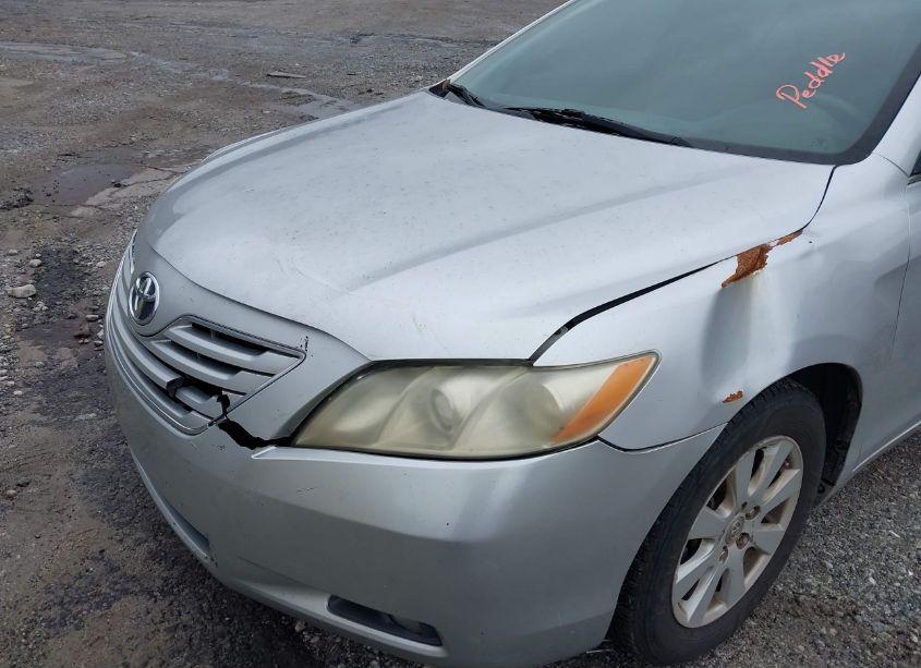 Photo 6 of 2009 Toyota Camry XLE (VIN 4T4BE46K19R122772)