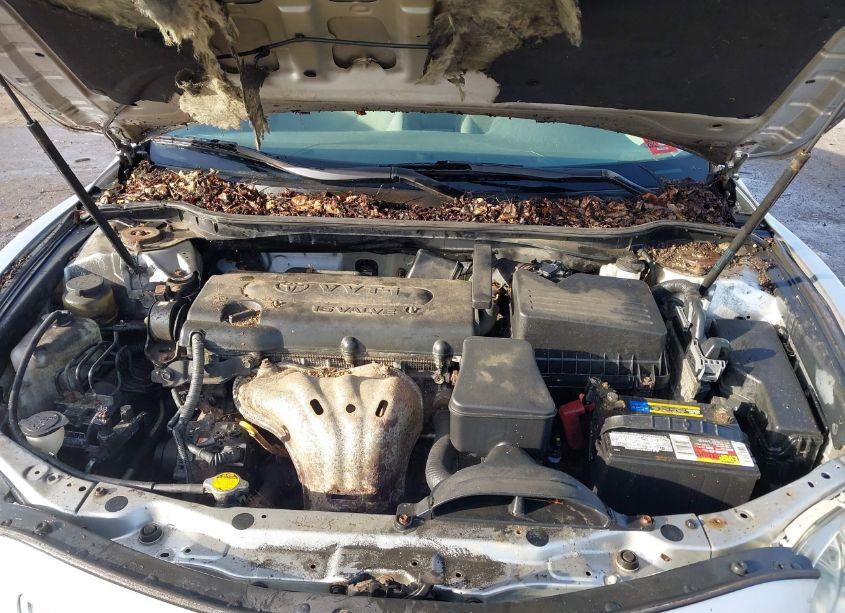 Photo 10 of 2009 Toyota Camry LE (VIN 4T4BE46K39R101132)