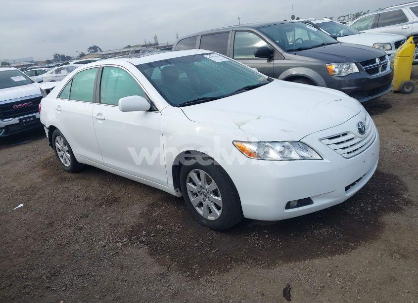 2009 Toyota Camry XLE (VIN 4T4BE46K49R101172) main photo