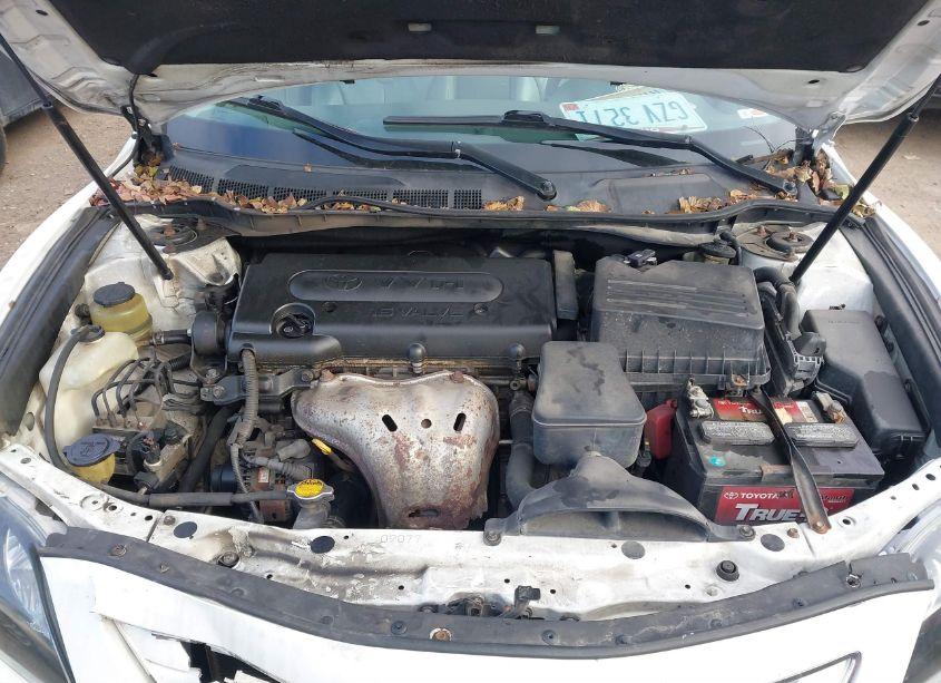 Photo 10 of 2009 Toyota Camry XLE (VIN 4T4BE46K49R109921)