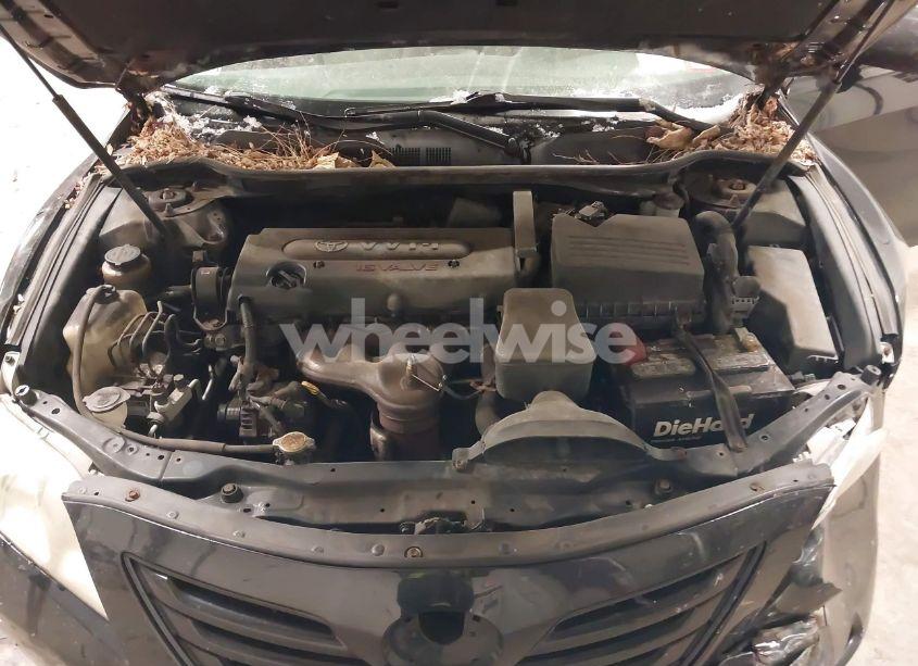 Photo 10 of 2009 Toyota Camry LE (VIN 4T4BE46K49R127089)