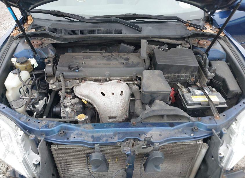 Photo 10 of 2009 Toyota Camry LE (VIN 4T4BE46K59R126226)