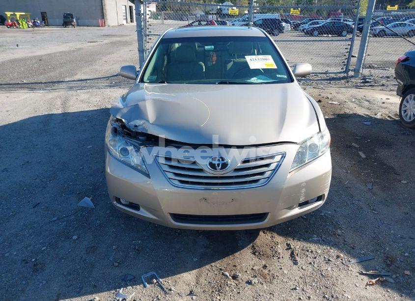 Photo 12 of 2009 Toyota Camry XLE (VIN 4T4BE46K89R071237)