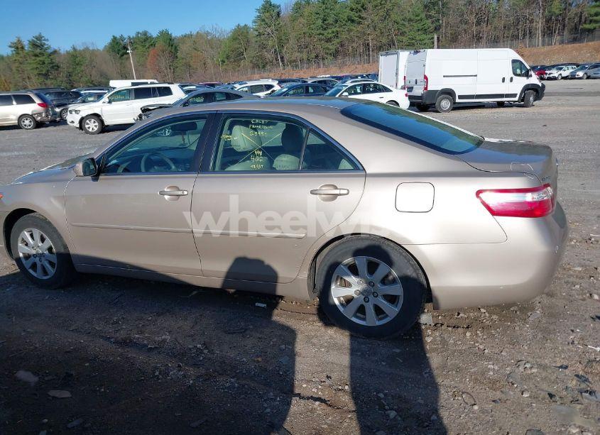 Photo 14 of 2009 Toyota Camry XLE (VIN 4T4BE46K89R071237)