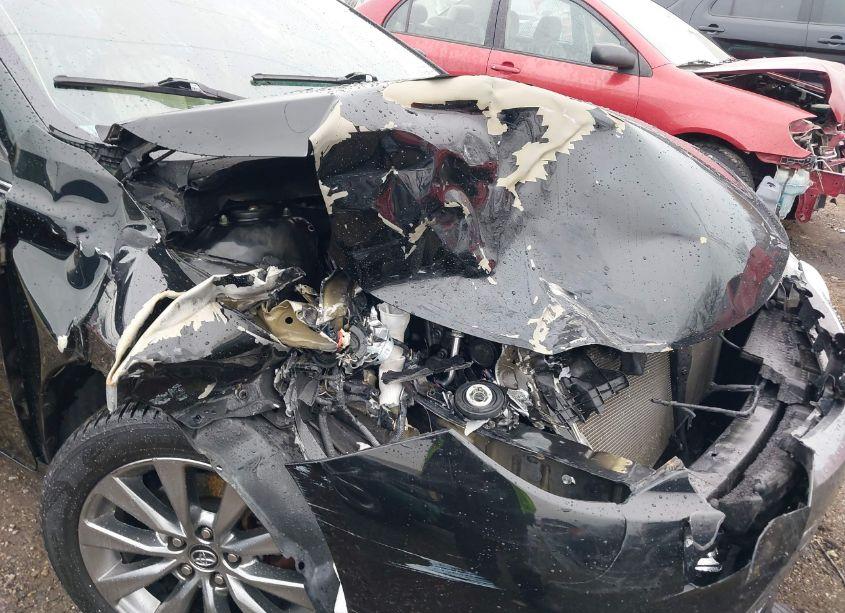 Photo 6 of 2016 Toyota Camry XLE (VIN 4T4BF1FK9GR560254)