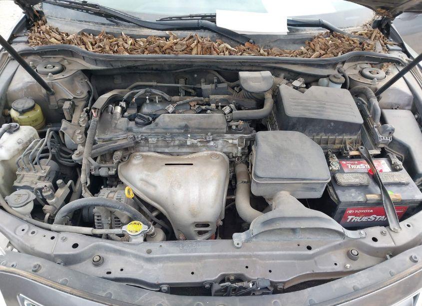 Photo 10 of 2010 Toyota Camry LE (VIN 4T4BF3EK8AR074295)