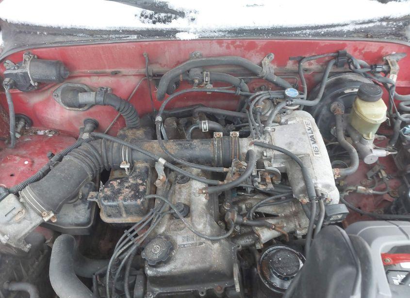 Photo 10 of 1998 Toyota Tacoma (VIN 4TANL42N4WZ093957)