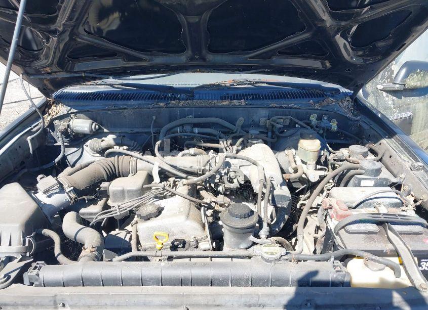 Photo 10 of 1996 Toyota Tacoma (VIN 4TAPM62N6TZ116863)