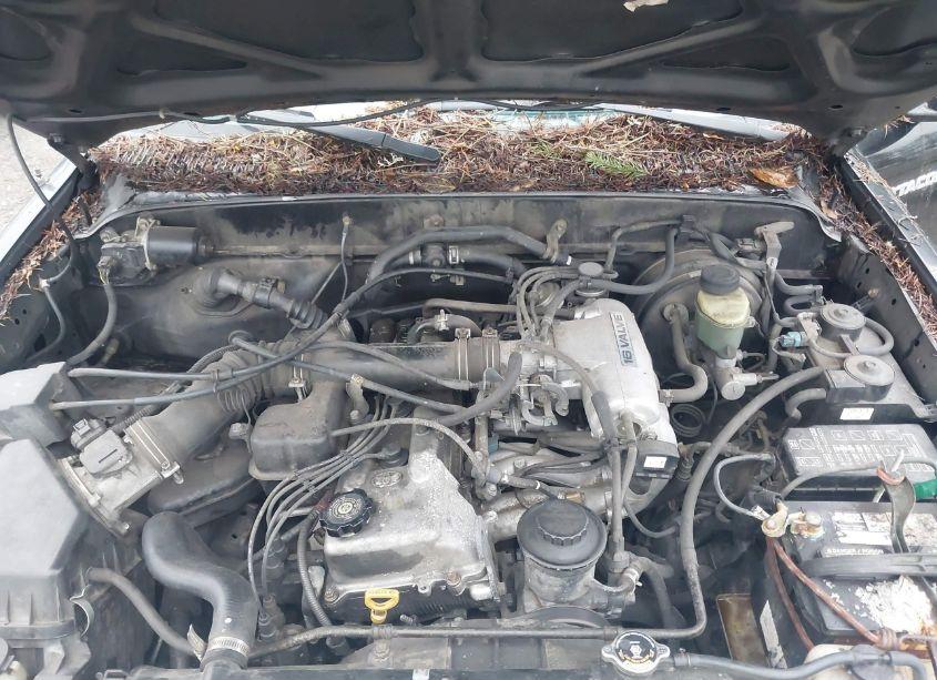 Photo 10 of 1998 Toyota Tacoma (VIN 4TAWM72N5WZ122773)