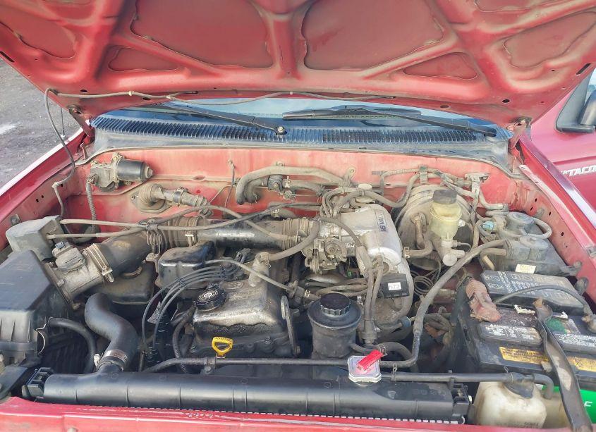 Photo 10 of 1998 Toyota Tacoma (VIN 4TAWM72N8WZ090871)