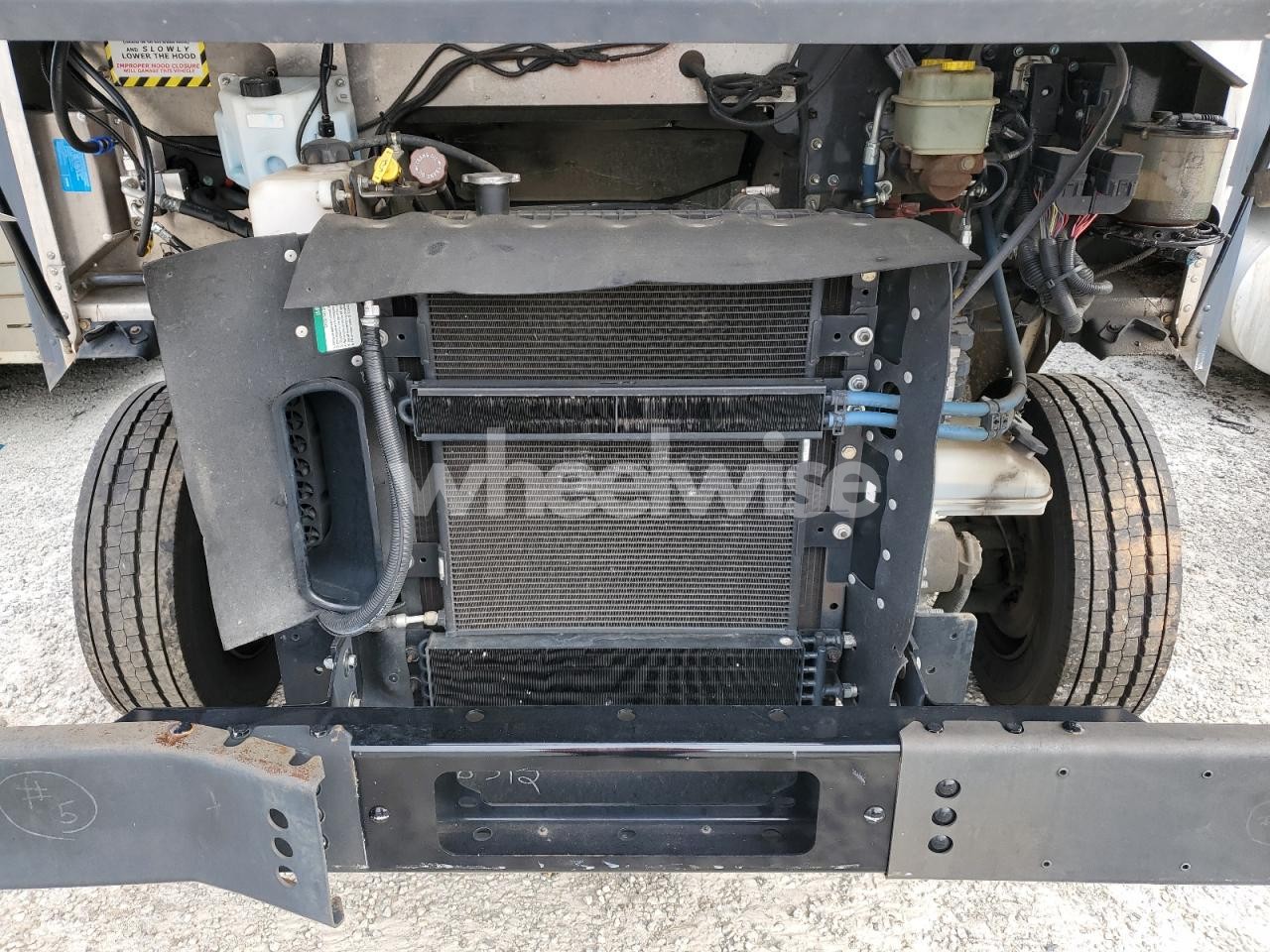 Photo 11 of 2020 FREIGHTLINER CHASSIS M LINE WALK-IN VAN (VIN 4UZAC2EA1LCMH7989)