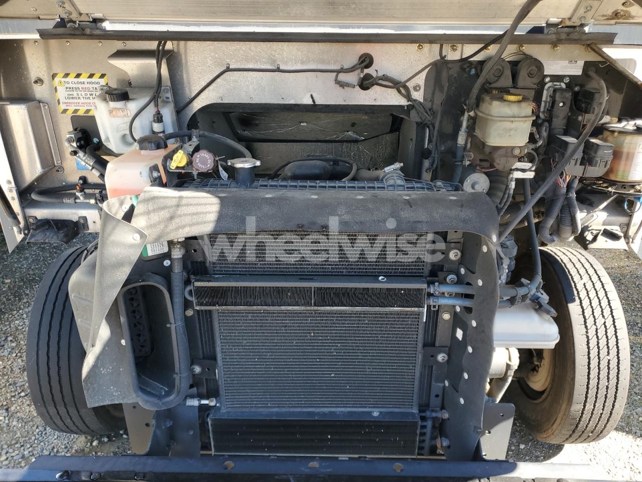 Photo 12 of 2020 FREIGHTLINER CHASSIS M LINE WALK-IN VAN (VIN 4UZAC2EA4LCMK0416)