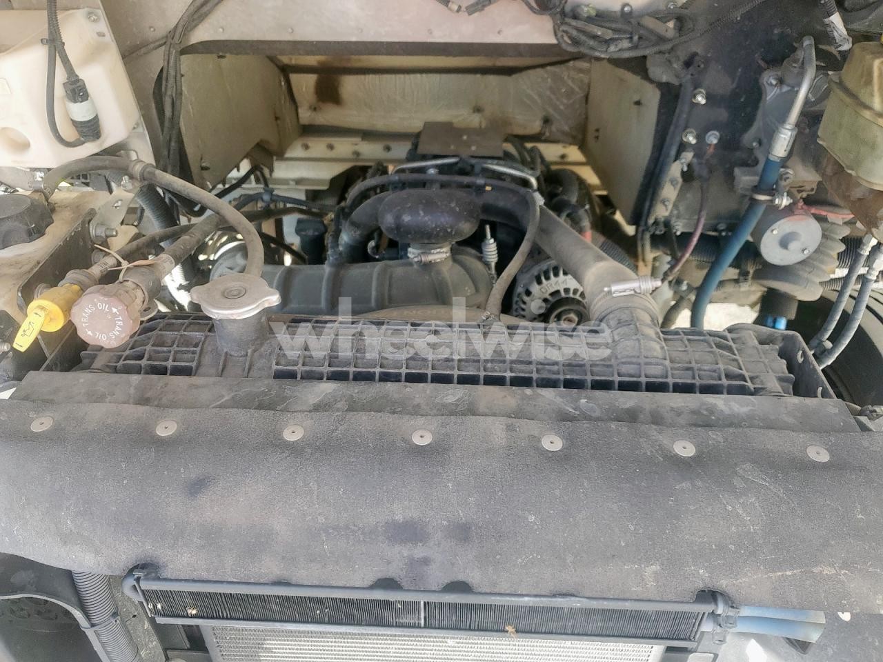 Photo 7 of 2020 FREIGHTLINER MT45G DELIVERY TRUCK (VIN 4UZAC2EA7LCMH7771)