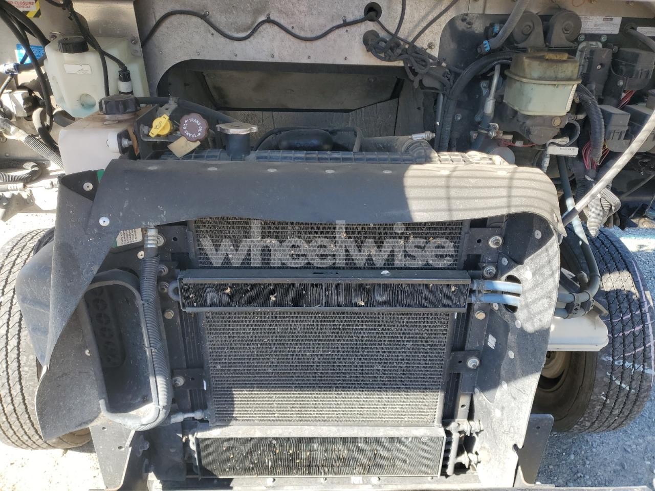 Photo 12 of 2020 FREIGHTLINER CHASSIS M LINE WALK-IN VAN (VIN 4UZAC2EA8LCLZ6041)