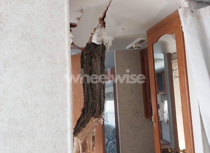 Photo 10 of 2003 Forest River OTHER (VIN 4X4TWDA223R330848)