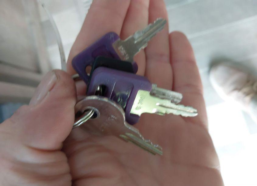 Photo 11 of 2019 Coleman Travel TRLR (VIN 4YDT2452XKH934631)