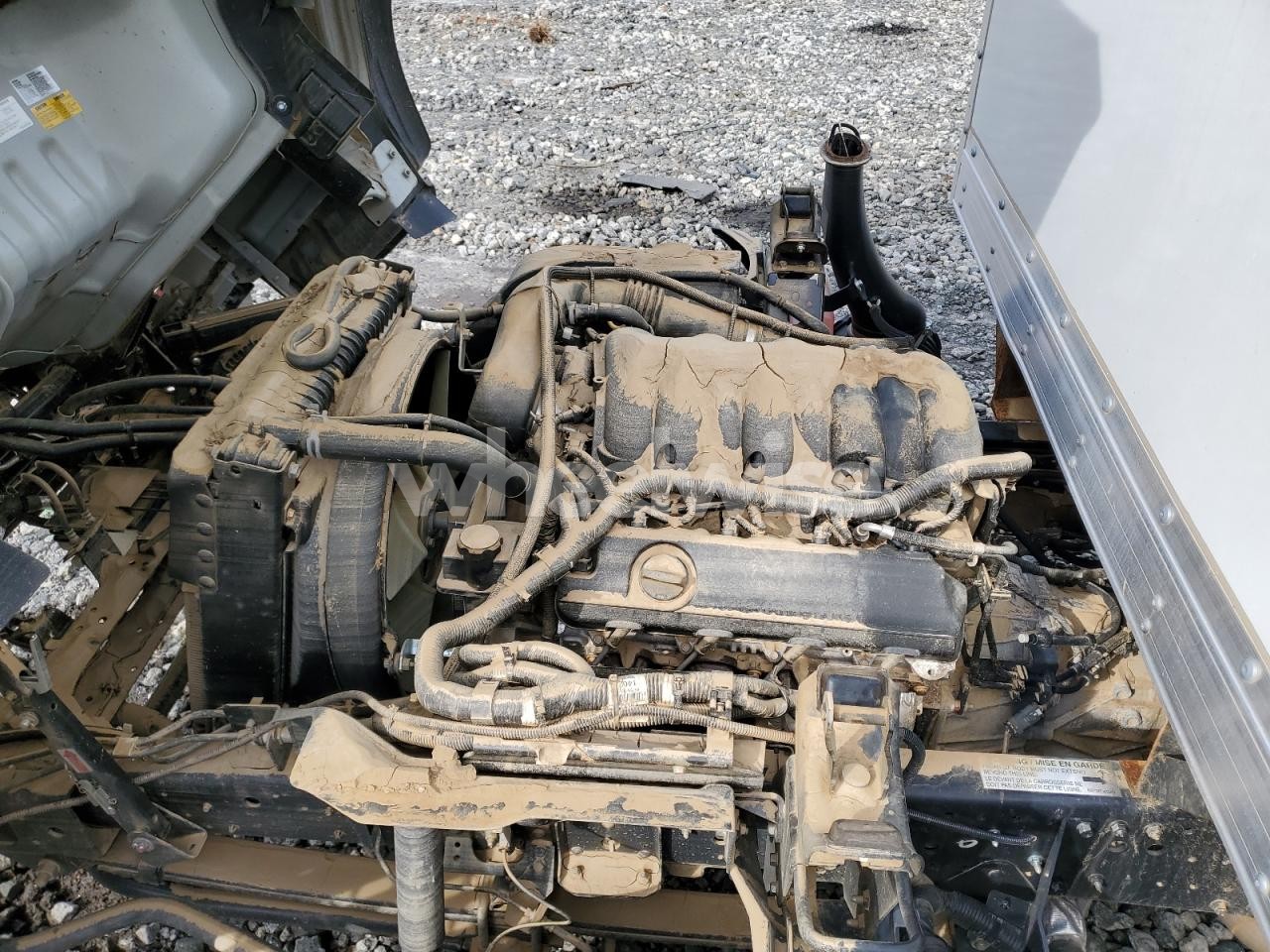 Photo 12 of 2024 ISUZU NPR HD (VIN 54DC4W1D3RS215570)