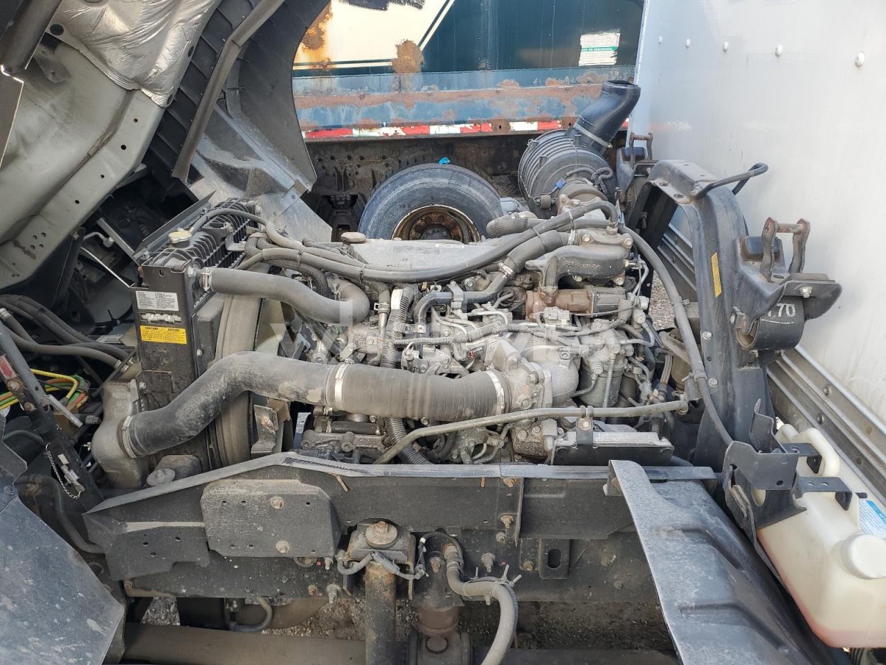 Photo 12 of 2020 ISUZU FTR BOX TRUCK (VIN 54DK6S162LSG50025)