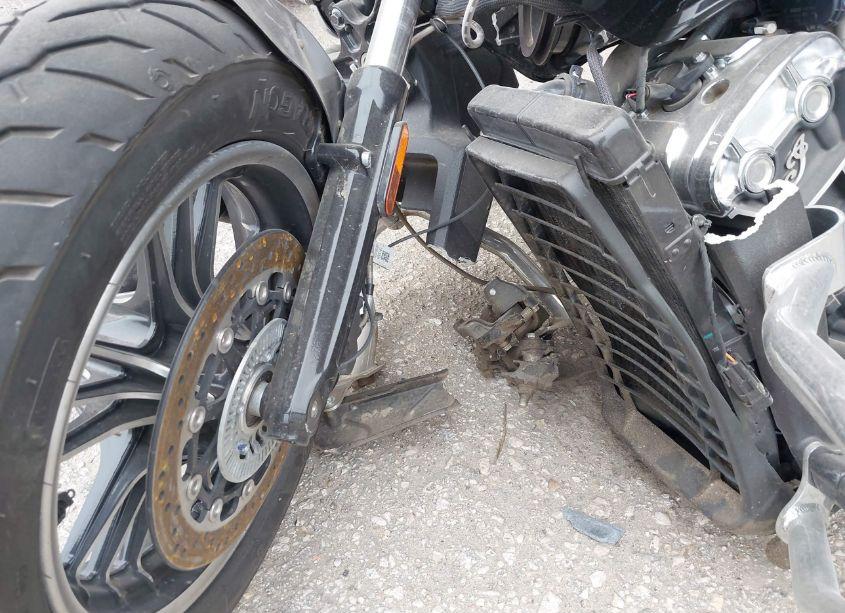 Photo 16 of 2024 Indian Motorcycle CO. SCOUT ABS (VIN 56KMSA006R3198848)