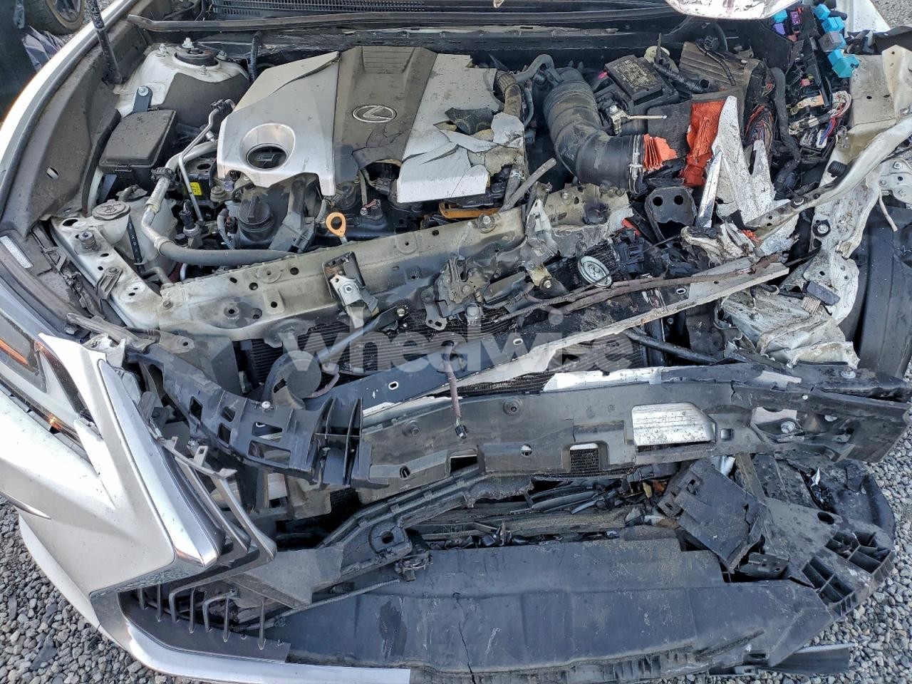 Photo 11 of 2019 LEXUS ES 350 (VIN 58ABZ1B12KU020096)