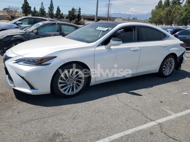 Photo 3 of 2019 LEXUS ES 350 (VIN 58ABZ1B18KU050803)