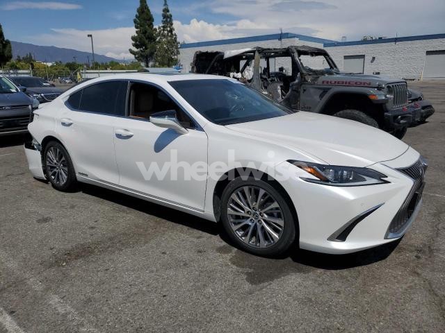 Photo 7 of 2021 LEXUS ES 300H (VIN 58ADA1C18MU001425)