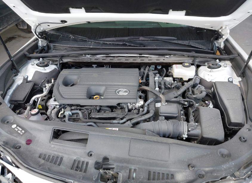 Photo 10 of 2024 Lexus Es 300H (VIN 58ADA1C19RU047837)