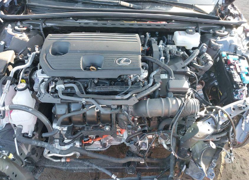Photo 10 of 2024 Lexus Es 300H (VIN 58ADA1C1XRU039875)