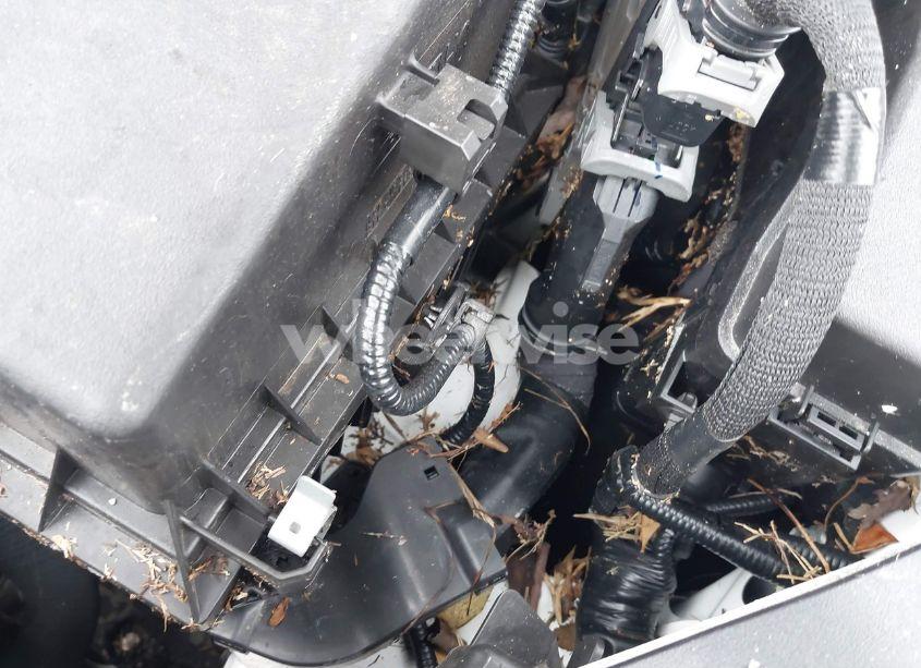 Photo 12 of 2024 Lexus Es 350 (VIN 58ADZ1B14RU165840)